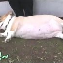 현훈농장 이미지