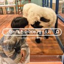 아이랑 가볼만한곳 이색동물 먹이주기 체험 마이애니멀스토리 포천