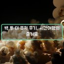 시간여행 | 백 투 더 퓨처 후기, 시간여행의 즐거움