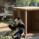 건강랜드_주차장_앞_CCTV | 아기랑 에버랜드 평일 워킹사파리 판다월드 슈퍼윙스 공연 까지