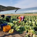 으뜸농원 이미지