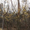 동탄센트럴파크 테니스장 이미지