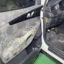 하얀크리닝 | "차 문 열고 기절할 뻔했습니다" (아산 실내크리닝 6개월 방치 곰팡이 제거 후기)