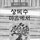 상록수전자 이미지