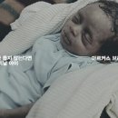 월드와이드원더