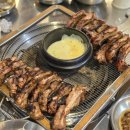 새터로L 이미지