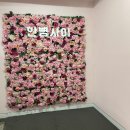 주식회사 신화통신 | 대학로 연극예매 순위 드디어 보고 온 후기