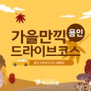 [건강TIP]가을만끽 용인 드라이브 코스를 알려드려요! 이미지