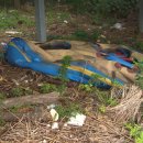 영산호관광지 이미지