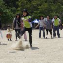 삼덕초등학교 이미지