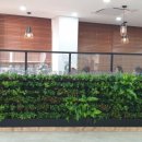 종촌동_복합커뮤니티센터 이미지