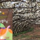 농수산물직거래유통