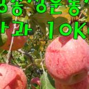 청운농장 이미지