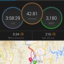 용마세탁소 | 10월 27일 (일) 2019 조선일보 춘천마라톤 풀코스 완주 후기 - 반전에 성공한 남자(10월 누적 179.425km)