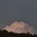 삼당농장 이미지