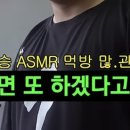 돼승이 asmr 먹방 백만뷰 찍어야 해준대 ㅡㅡ 이미지