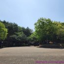 용의발광장 네이버블로그