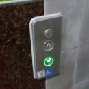 동탄대로시범길 이미지