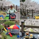 화   산 | 대구근교 놀이터 카페 창녕 벚꽃 맛집 산과구름아래 4/1 방문 후기