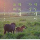 아낌없이주는나무 네이버블로그