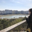 효천셀프세차장 이미지