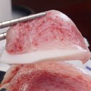 진우리참치 이미지