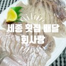 세종 횟집 배달 회사랑 내돈내산 후기