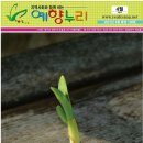 준옹농장 네이버블로그