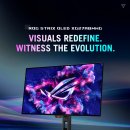 인형의 거리(용) 이미지