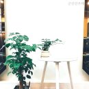 군산진우헤어 이미지