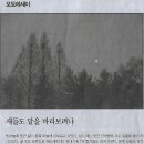 왜냐면/ 위기의 청소년 보호 위해 소년법 우범규정 삭제 신중해야/ 최원훈 법무부 인천보호관찰소 소년과 책임관/ 한우·쌀값 폭락으로 위기 이미지