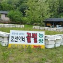 효선농장 이미지