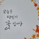당신이꽃