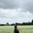 게티하우스 이미지