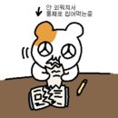 THE맨네일 | [일상] 네일 필기 독학 합격 꿀팁! 후기 및 공부방법 (책/어플/영상)