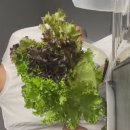 [핀란드 교환학생] 핀란드는 정말 유명한 노잼도시임 / 에서 재밌게 살아가기 / Sep(2)