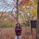 도봉산역(1호선) 화장실 이미지