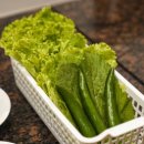 남이식당 이미지