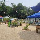 목련@사랑 이미지