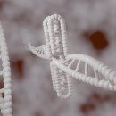 플라스미드(PLASMID)