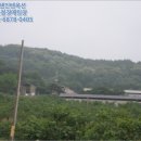 용흥리축사 네이버블로그