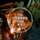 안성 산우물 캠핑장 [#10 20.10.31~11.01, 1박2일]