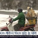 피네