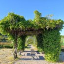 불갑모악보건진료소 | 영광 물무산 행복숲