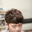 스왈로
