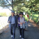 국립서울현충원 정문화장실 이미지