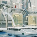 라인환경㈜ 이미지