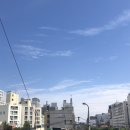 다채로움을 추구합니다