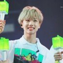 산책하는 강아지 이미지