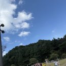 김천김밥축제 | 김밥없는 김천 김밥축제 후기